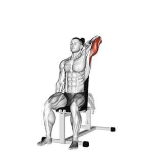 Overhead dumbbell extension for triceps, stretched