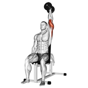 Overhead dumbbell extension for triceps, contracted