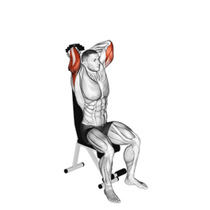 Dumbbell overhead tricep extension for building mass, bottom position