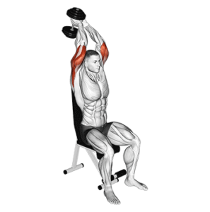 Dumbbell overhead tricep extension for building mass, top position