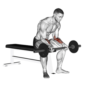 Barbell wrist curl for massive forearms, stretched