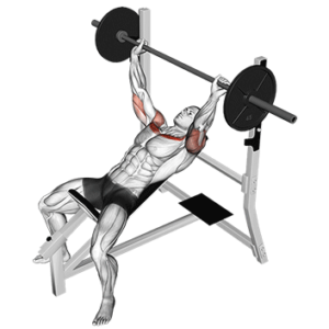 Barbell Incline Press for Upper Chest, top position