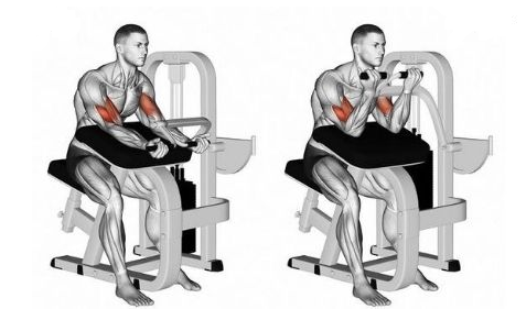 Bicep curl machine