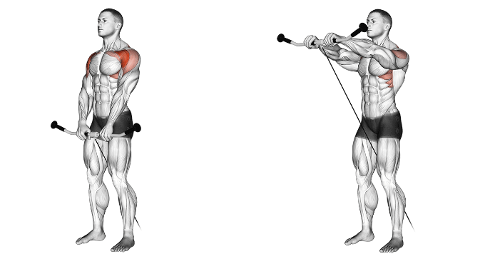 Cable machine front raises for isolating front deltoids