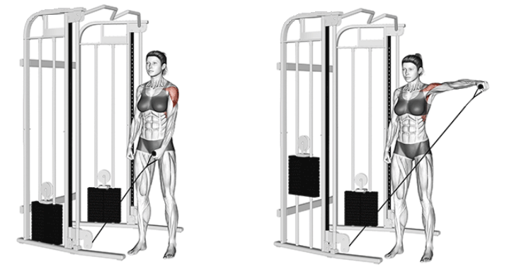 Cable lateral raise for round side deltoids