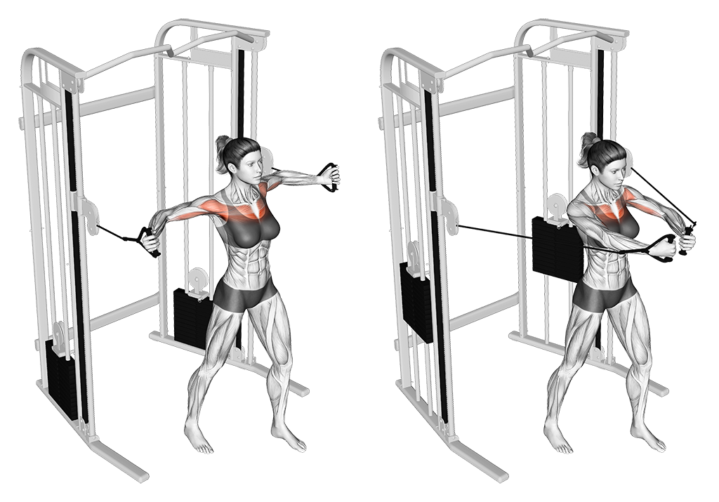 Cable Crossover for Middle Chest development, horizontal pulley position