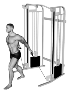 Low pulley crossover machine bicep curl, stretched