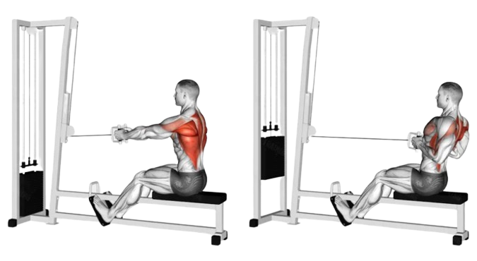 Close grip machine row for building thick & wide back