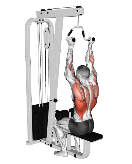 Close grip pulldowns, top position