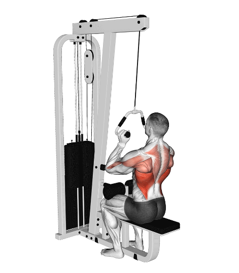 Close grip pulldowns, bottom position