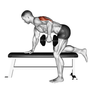 Dumbell tricep kickback, stretched