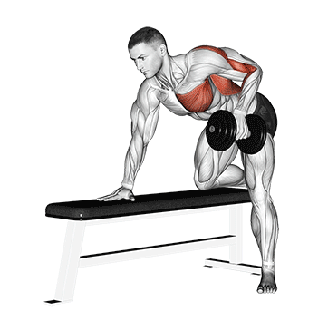 Single arm dumbbell row for back thickness, high position