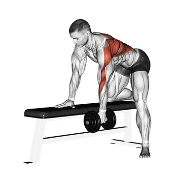 Single arm dumbbell row for back thickness, low position