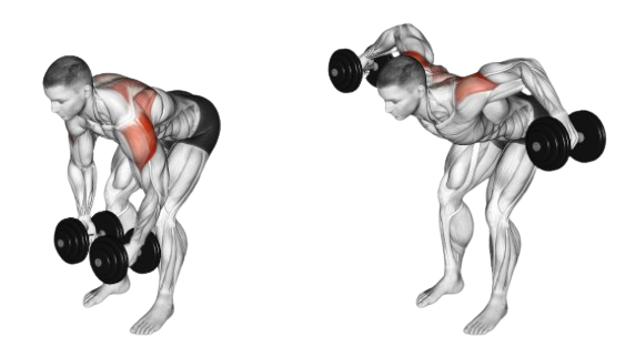 standing rear delt raises