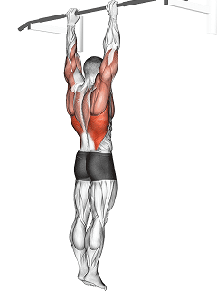 Dead hang from the bar for improving grip strength