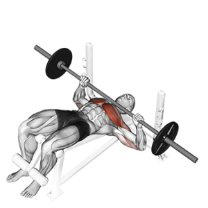 Decline Barbell Press for Lower Chest, bottom position