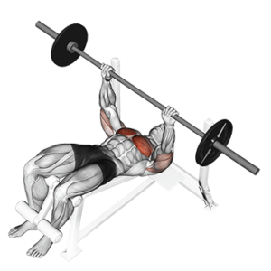 Decline Barbell Press for Lower Chest, top position