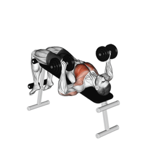 Decline Dumbbell Press, bottom position