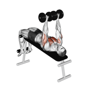 Decline Dumbbell Press, top position