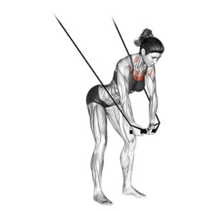 Cable Crossover for Lower Chest, high pulley position, contracted