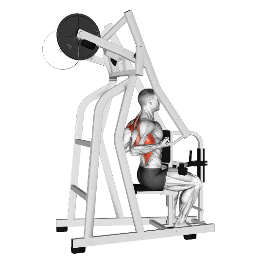 High lever back training machine for building width and thickness, contracted