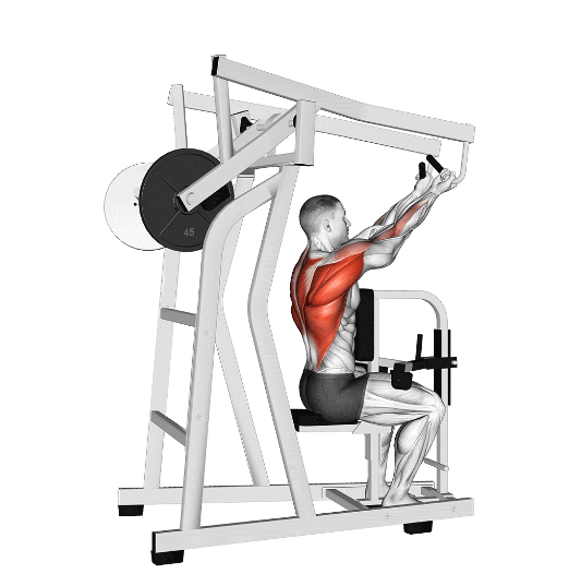 High lever back training machine for building width and thickness, stretched