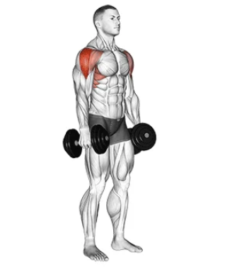 dumbbell lateral raise for sound shoulders, bottom position