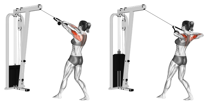 cable facepulls for rear delts