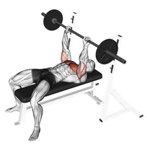 Flat Barbell Bench for Chest development, top position