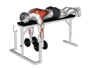 Chest supported dumbell rows for thick back, stretched