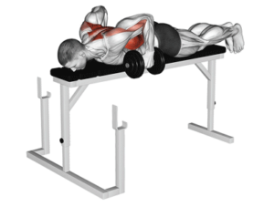 Chest supported dumbell rows for thick back, contracted