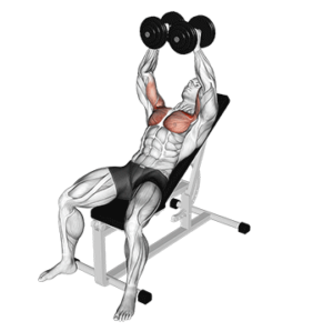 Incline Dumbbell Fly for Upper Chest, contracted