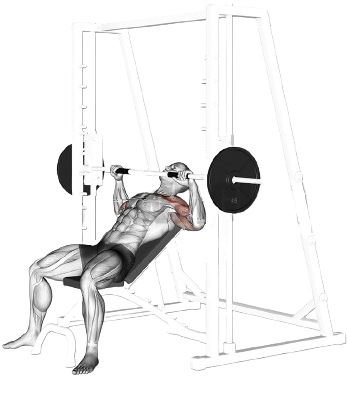 Incline Smith Machine Press for Upper Chest, bottom position