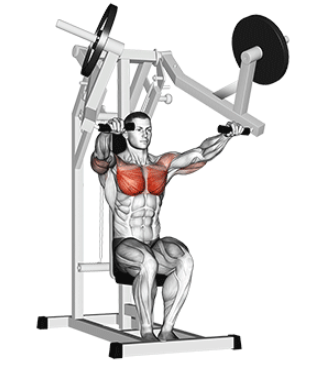 Incline Smith Machine Press for Upper Chest, contracted