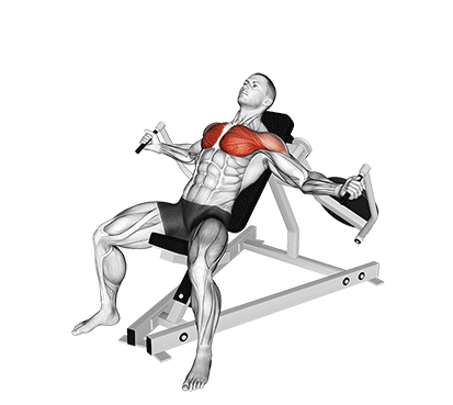 Incline Machine Fly for Upper Chest, stretched