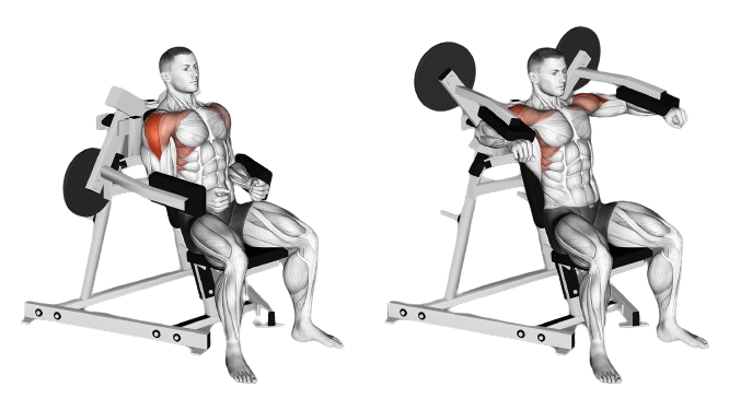 plate loaded lateral raise machine for side delts