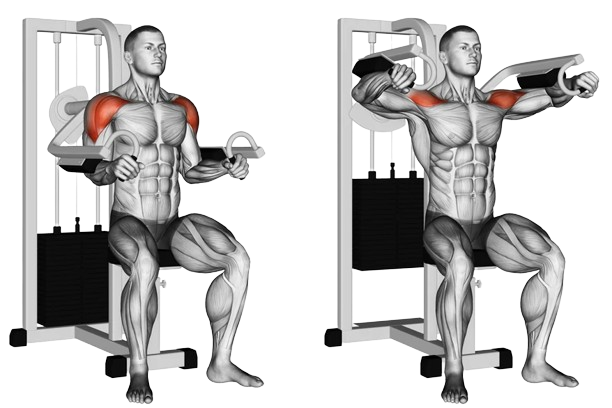 lateral raise machine for side delts