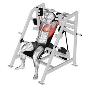 pullover machine for back training, stretched