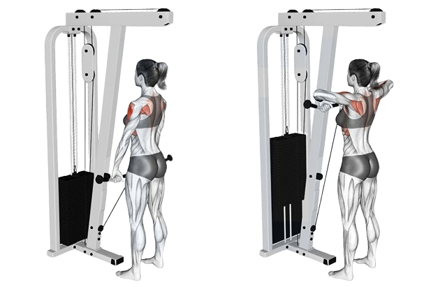 cable machine upright row for shoulder development