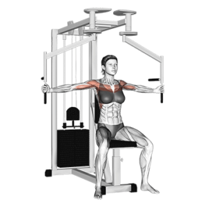 Chest Fly Machine, stretched