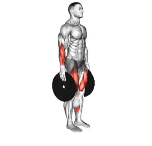 Plate pinch for improving grip strength