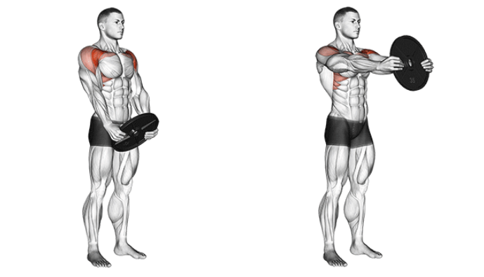 plate front raises for building front deltoid