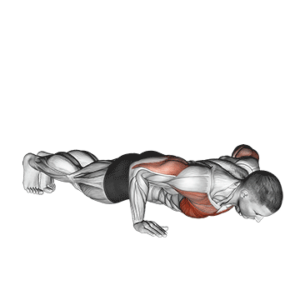 Pushup for Chest development, bottom position