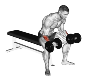 Reverse wrist curl for massive forearms, contracted