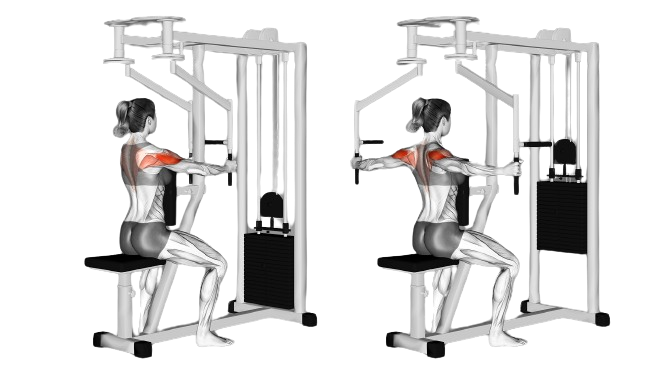 Reverse pec deck for rear delt development