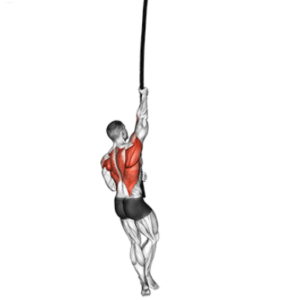 rope climb for massive forearms 1