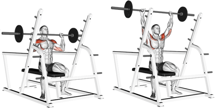 Seated barbell press for shoulder development