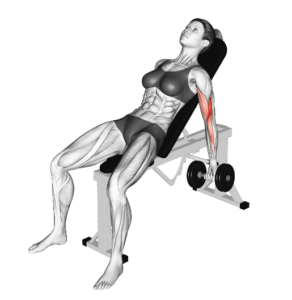 Incline dumbbell bicep curl, stretched