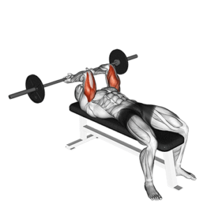 Skullcrushers for building triceps, bottom position