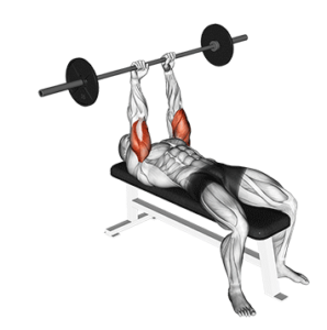 Skullcrushers for building triceps, top position